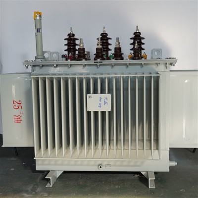 Yuancheni kohandatud disainiga OEM-i õliga sukeldatud trafo